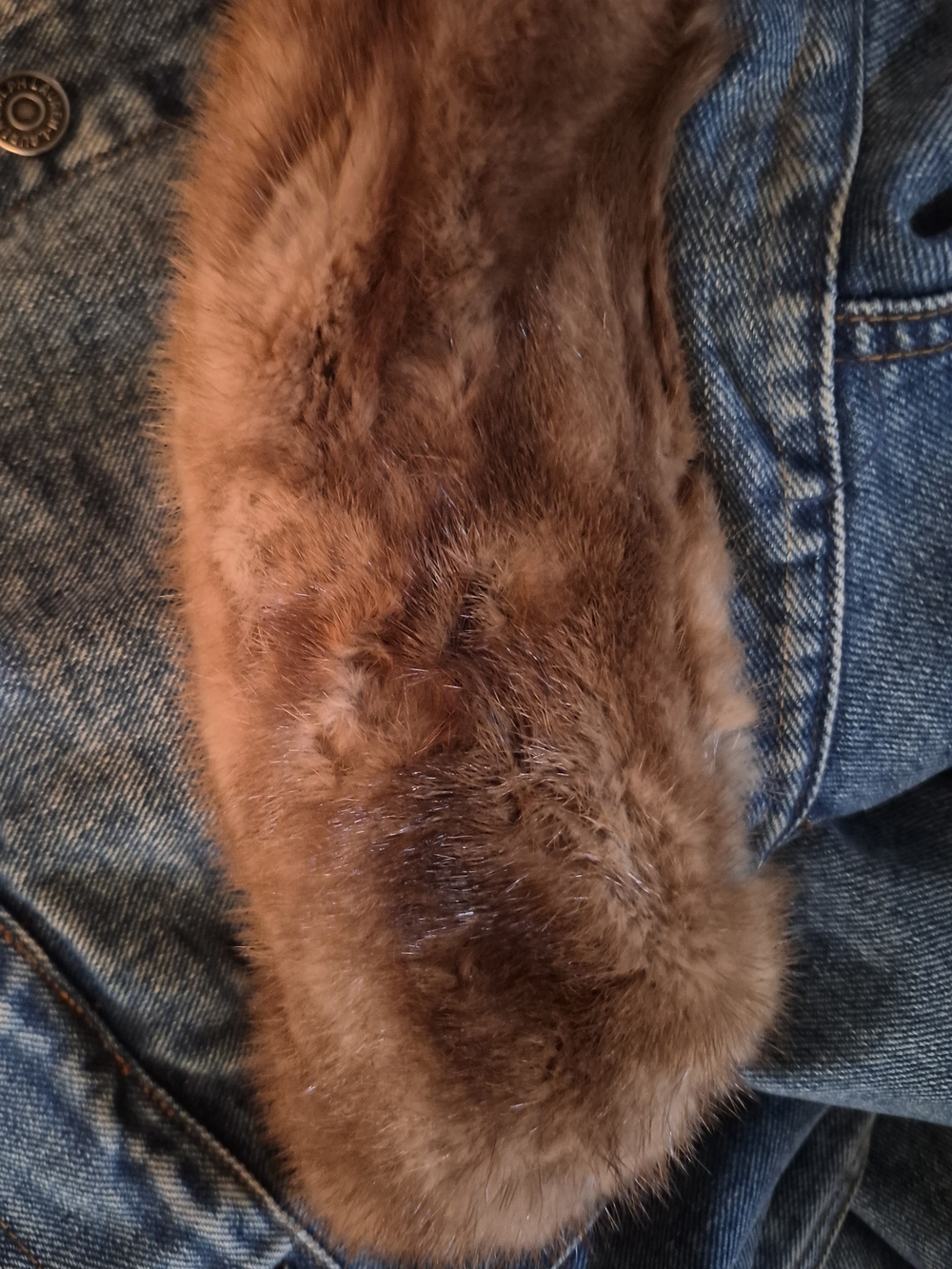 Last Price Cut For Ralph Lauren Blue Denim Bomber Jacket with Real Fox Fur Trim - Picture 5 of 5